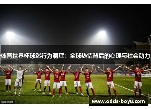 体育世界杯球迷行为调查：全球热情背后的心理与社会动力