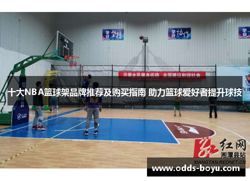 十大NBA篮球架品牌推荐及购买指南 助力篮球爱好者提升球技