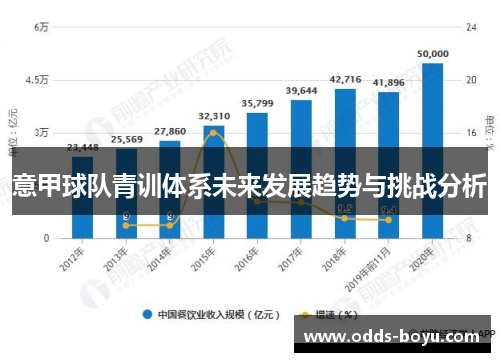 意甲球队青训体系未来发展趋势与挑战分析