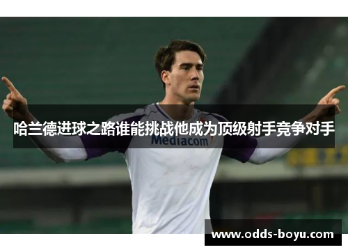 哈兰德进球之路谁能挑战他成为顶级射手竞争对手