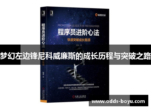 梦幻左边锋尼科威廉斯的成长历程与突破之路