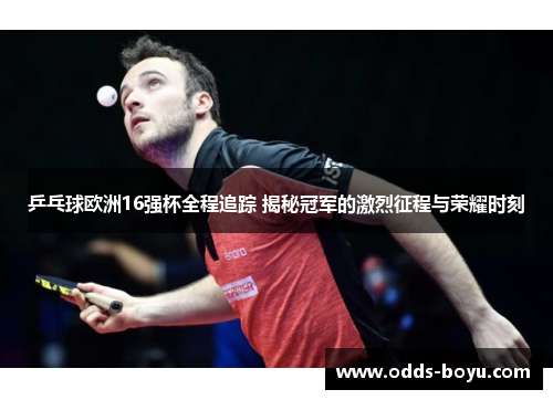 乒乓球欧洲16强杯全程追踪 揭秘冠军的激烈征程与荣耀时刻