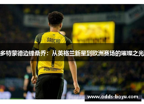 多特蒙德边锋桑乔：从英格兰新星到欧洲赛场的璀璨之光