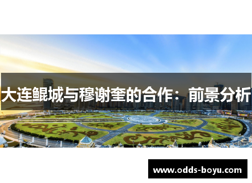 大连鲲城与穆谢奎的合作：前景分析