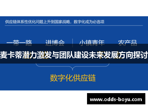麦卡蒂潜力激发与团队建设未来发展方向探讨