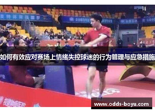 如何有效应对赛场上情绪失控球迷的行为管理与应急措施