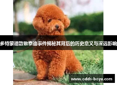 多特蒙德致敬泰迪事件揭秘其背后的历史意义与深远影响