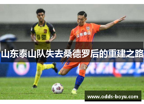 山东泰山队失去桑德罗后的重建之路