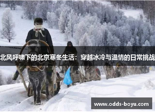 北风呼啸下的北京寒冬生活：穿越冰冷与温情的日常挑战