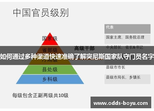 如何通过多种渠道快速准确了解突尼斯国家队守门员名字