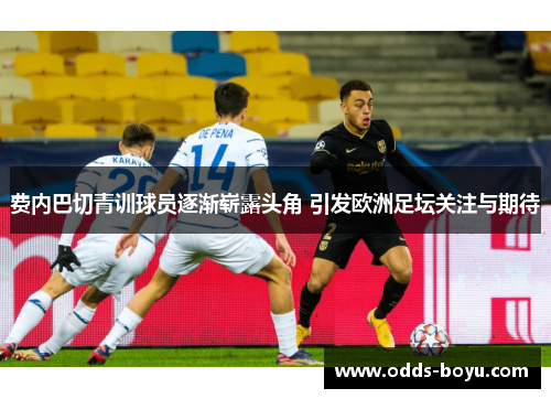 费内巴切青训球员逐渐崭露头角 引发欧洲足坛关注与期待