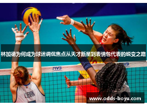 林加德为何成为球迷调侃焦点从天才新星到表情包代表的蜕变之路