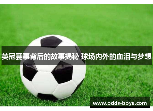 英冠赛事背后的故事揭秘 球场内外的血泪与梦想